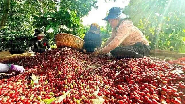 Hình ảnh 1