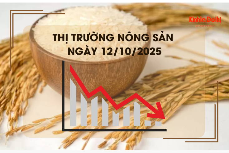 Thị trường nông sản ngày 12/10: giá gạo xuất khẩu giảm mạnh