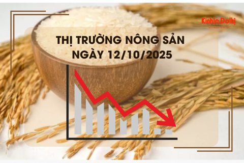 Thị trường nông sản ngày 12/10: giá gạo xuất khẩu giảm mạnh