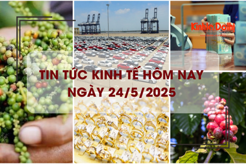 Tin tức kinh tế 24/5: xuất khẩu hồ tiêu đem về gần 590 triệu USD
