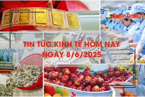 Tin tức kinh tế 8/6: giá vàng giảm, tỷ giá USD tăng cao kỷ lục