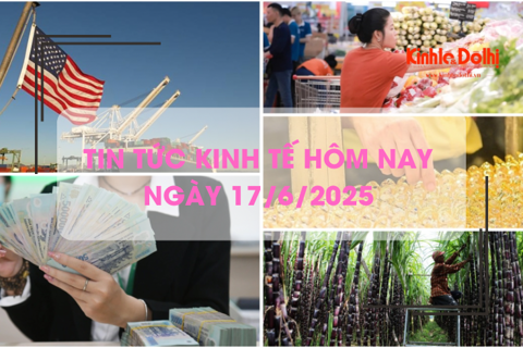 Tin tức kinh tế 17/6: tiền gửi dân cư đạt mức kỷ lục