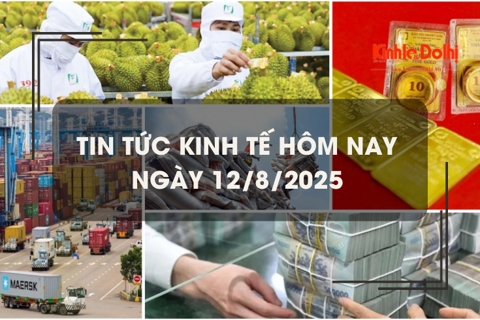 Tin tức kinh tế 12/8: xuất khẩu sầu riêng tươi tăng 10 lần