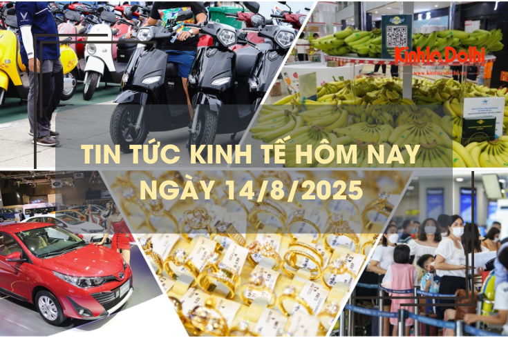 Tin tức kinh tế 14/8: giá vàng tăng mạnh, lên cao nhất từ trước đến nay