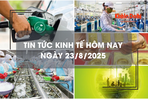 Tin tức kinh tế 23/8: Việt Nam giữ vị trí thứ 2 Đông Nam Á về phát triển bền vững