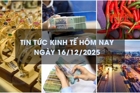 Tin tức kinh tế 16/12: Giá ớt chỉ thiên cao kỷ lục
