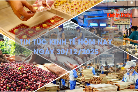 Tin tức kinh tế 30/12: quy mô thị trường bán lẻ Việt Nam đạt khoảng 269 tỷ USD