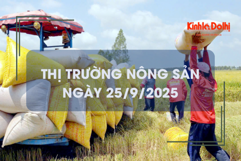 Thị trường nông sản ngày 25/9: giá lúa gạo bình ổn