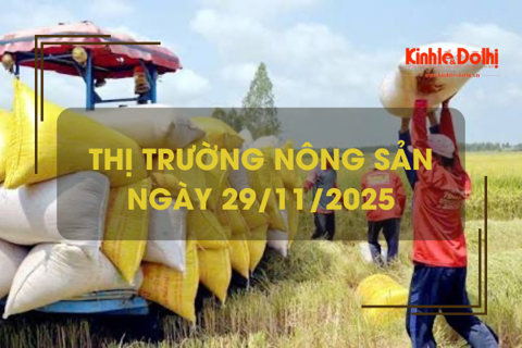 Thị trường nông sản ngày 29/11: nguồn lúa còn lại ít
