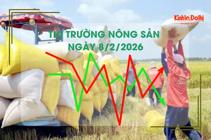 Thị trường nông sản ngày 8/2/2026: gạo Nàng Nhen neo cao