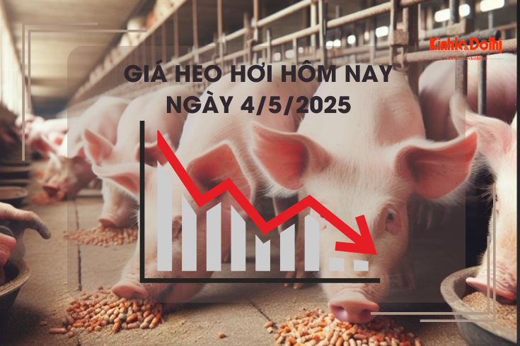 Giá heo hơi hôm nay 4/5: cao nhất 74.000 đồng/kg