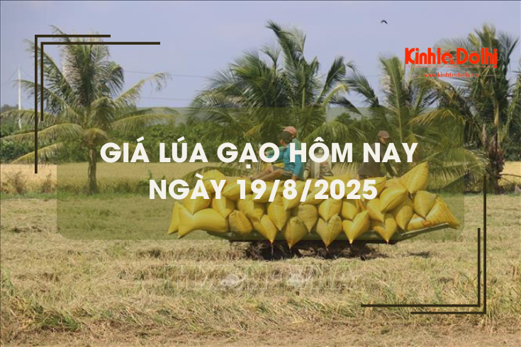 Giá lúa gạo hôm nay ngày 19/8: giá gạo bật tăng