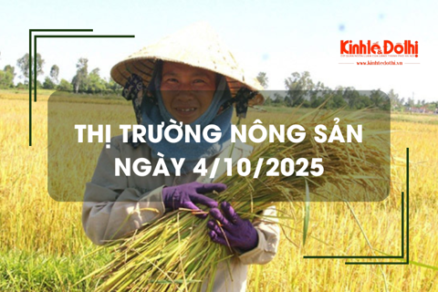 Thị trường nông sản ngày 4/10: gạo xuất khẩu giảm nhẹ
