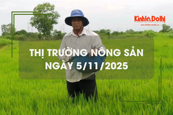 Thị trường nông sản ngày 5/11: gạo nguyên liệu giảm nhẹ