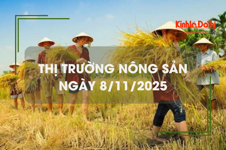Thị trường nông sản ngày 8/11: giá gạo tăng nhẹ