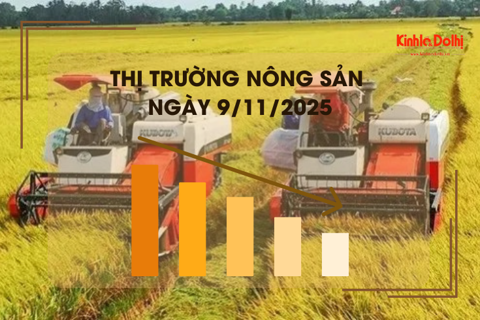 Thị trường nông sản ngày 9/11: giao dịch mua bán lúa gạo trầm lắng