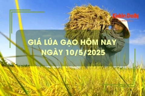 Giá lúa gạo hôm nay 10/5: giá gạo bật tăng