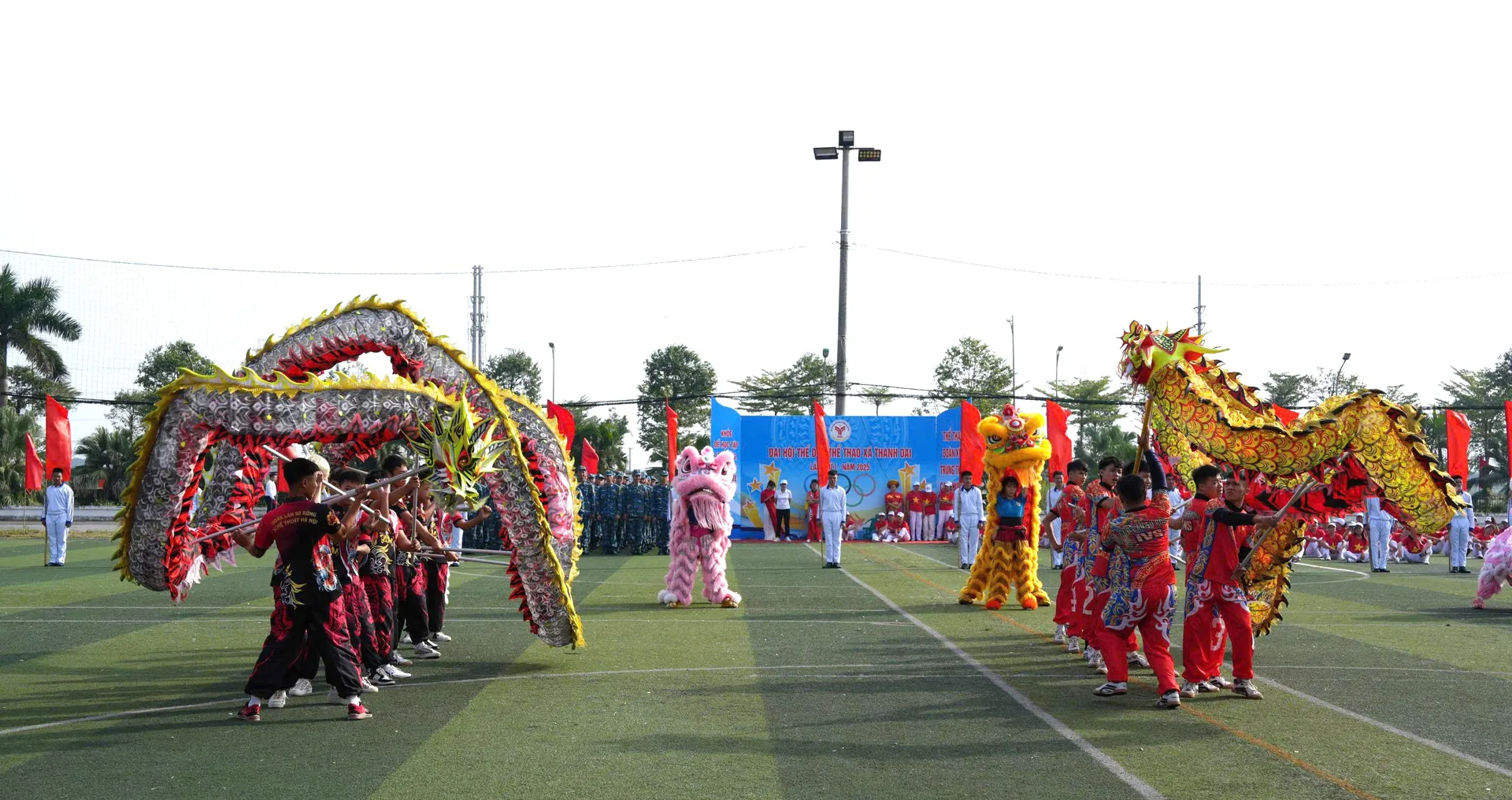 Hình ảnh 6