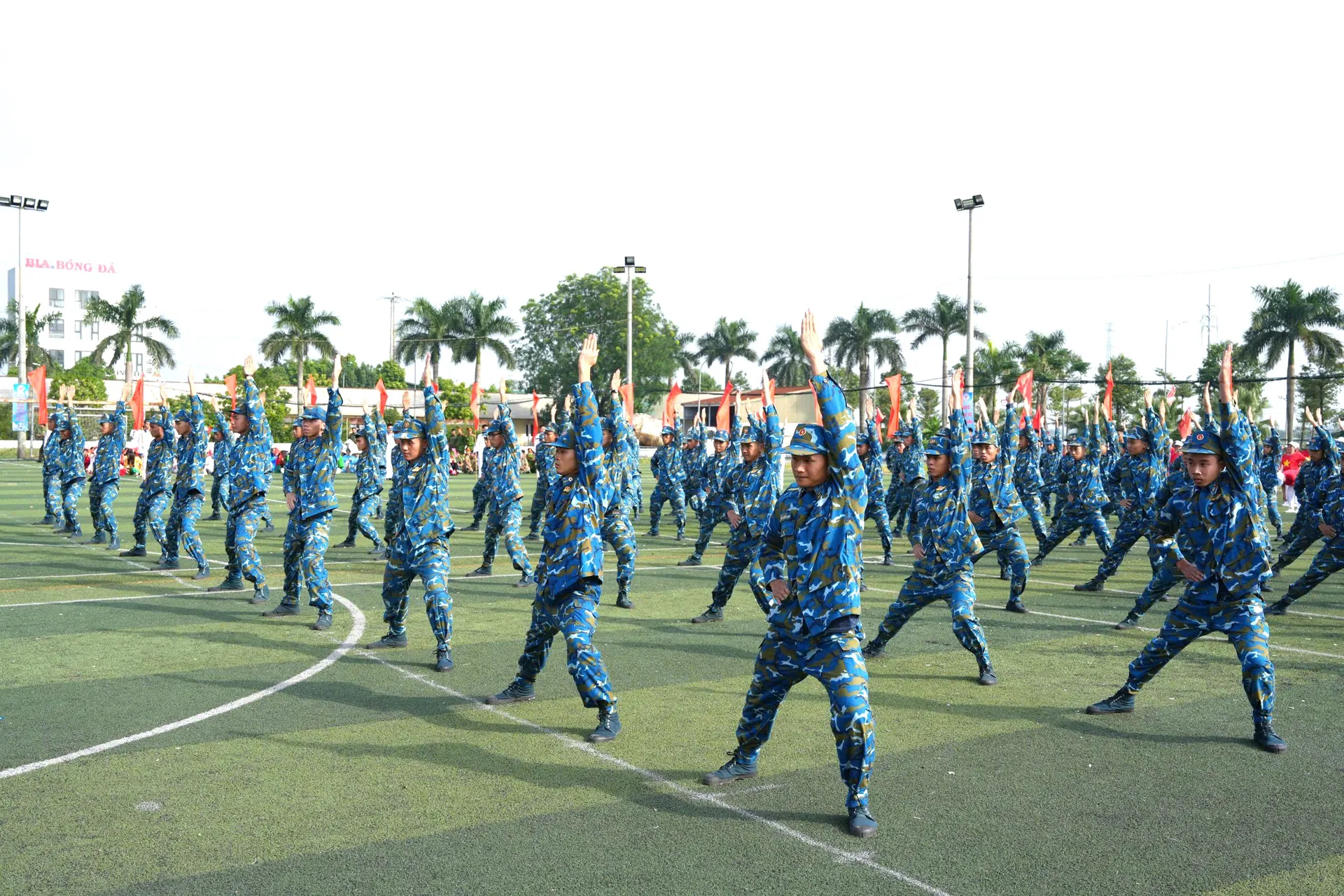 Hình ảnh 5