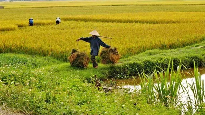 Hình ảnh 1