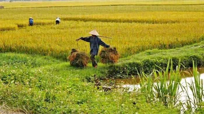Hình ảnh 1