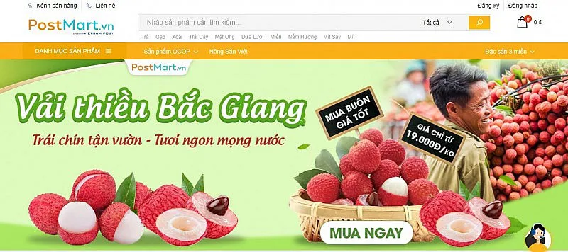 Hình ảnh 1