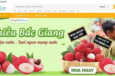 Nâng giá trị cho trái vải thiều Việt Nam