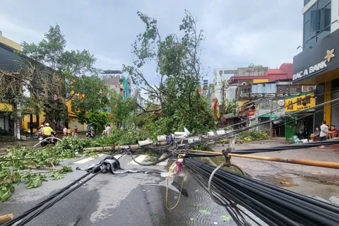 Bộ Công Thương: chỉ đạo sớm cấp điện trở lại phục vụ Nhân dân sau bão số 10