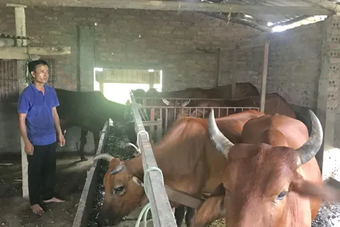 Đồng hành cùng nông dân sản xuất bền vững