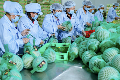 Xuất nhập khẩu duy trì đà tăng trưởng tích cực