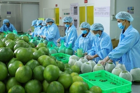 Giữ vững nhịp tăng trưởng thương mại Việt Nam - EU
