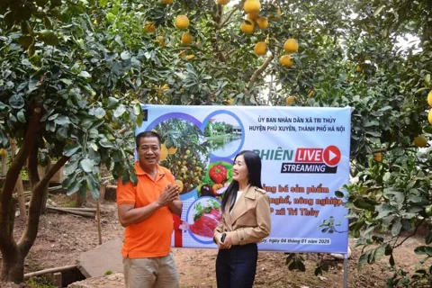 Chuyển đổi số, tăng giá trị thương hiệu nông sản