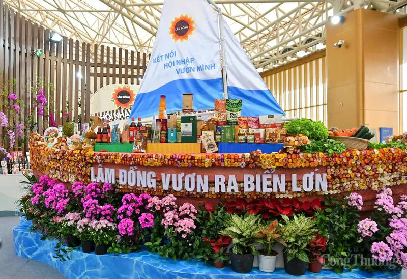 Hình ảnh 11