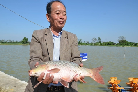 Thúc đẩy ngành thủy sản phát triển bền vững