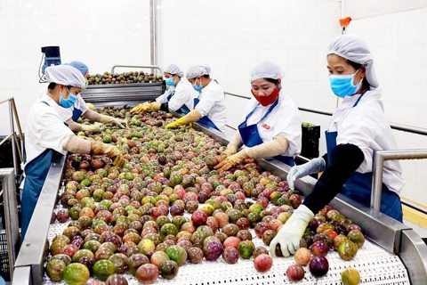 Mở rộng thị trường xuất khẩu nông sản Việt
