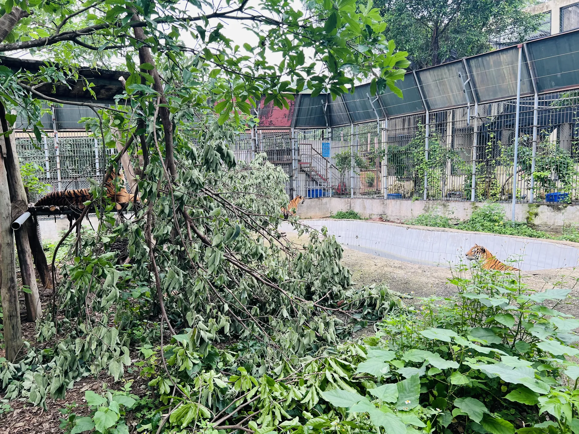 Hình ảnh 1
