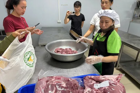 Xã Bình Minh: Kết luận vụ việc thực phẩm bữa ăn bán trú trường Tiểu học Cự Khê