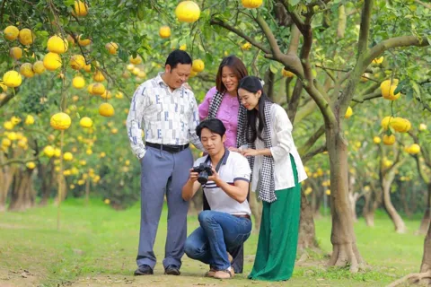 Nông nghiệp sinh thái kiến tạo không gian xanh cho Thủ đô