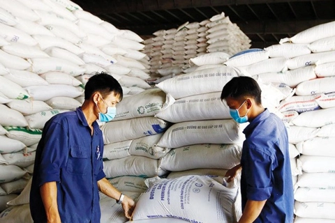 Xuất khẩu gạo chịu áp lực lớn bởi nguồn cung và biến động giá