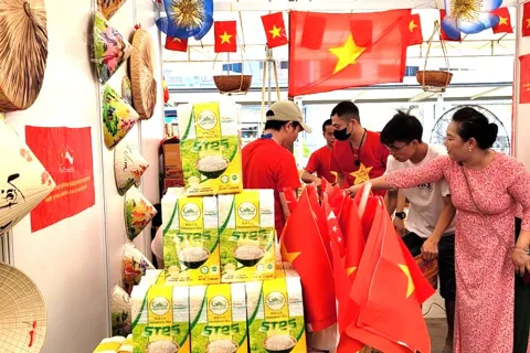 Xuất khẩu gạo năm 2026 sẽ hồi phục đà tăng trưởng