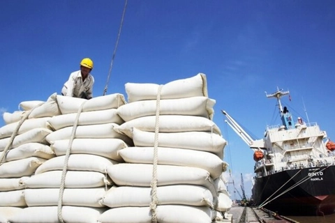 Bảo vệ thương hiệu gạo Việt trên thị trường quốc tế