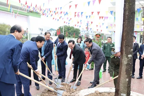 Xã Tam Hưng hưởng ứng Tết trồng cây, xây dựng môi trường sống xanh, văn minh