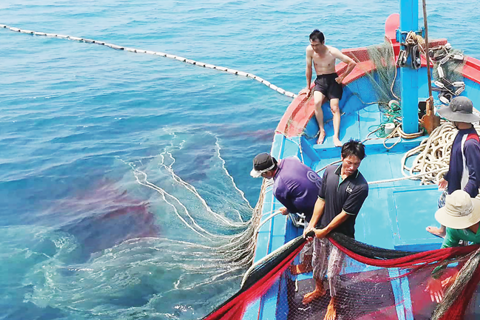 Kỳ vọng gỡ được “thẻ vàng” IUU cho thuỷ sản trong năm 2025
