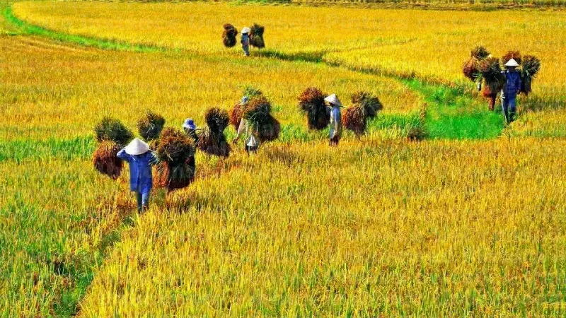 Hình ảnh 1