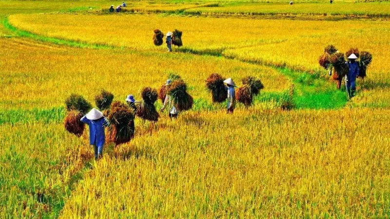 Hình ảnh 1
