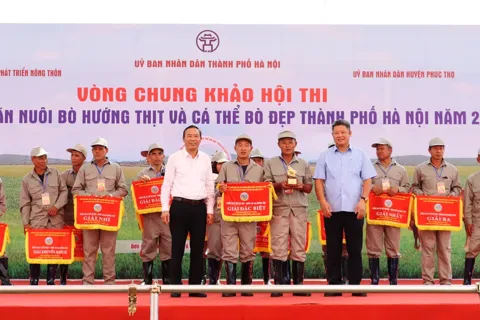 Ứng dụng công nghệ, nâng tầm chăn nuôi