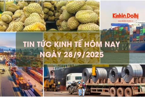 Tin tức kinh tế 28/9: rau quả chế biến vượt mốc tỷ USD