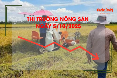 Thị trường nông sản ngày 5/10: giao dịch mua bán cầm chừng