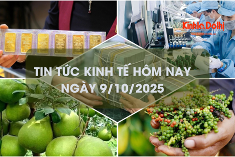Tin tức kinh tế 9/10: xuất khẩu hồ tiêu Việt Nam thu về hơn 1,26 tỷ USD