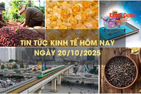 Tin tức kinh tế 20/10: xuất khẩu cà phê lập kỷ lục mới